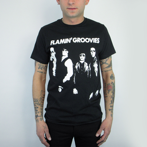 flamin groovies shirt